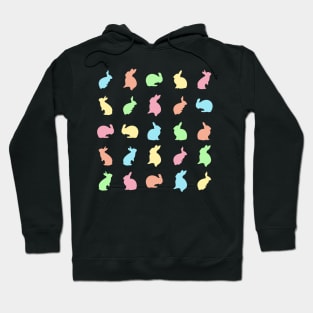 Pastel Bunnies Hoodie